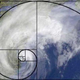 Illustration for article titled 15 Uncanny Examples of the Golden Ratio in Nature